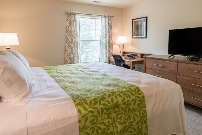 Building Photo - Fully Furnished Two Bedroom Contemporary Style Apartment on the First Floor