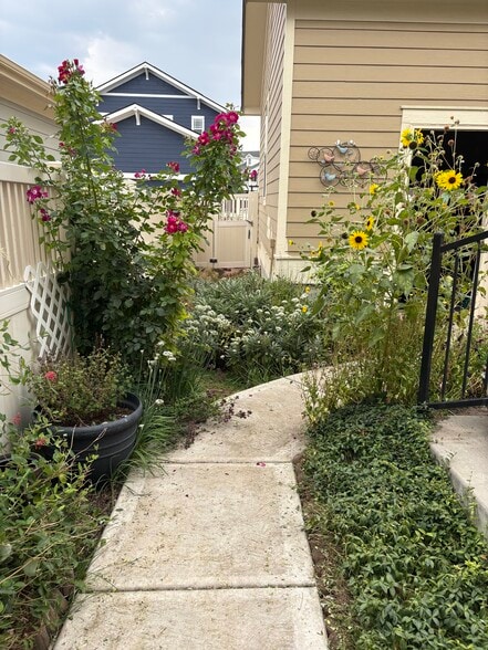 Walkway - 11666 Osceola St
