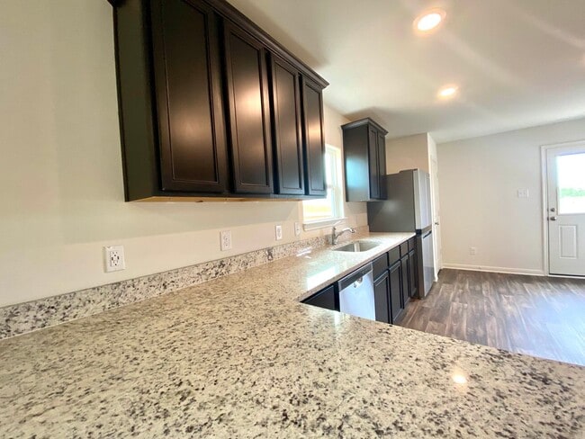 Building Photo - Brand new 4 bedroom, 2 bath home in the Pr...