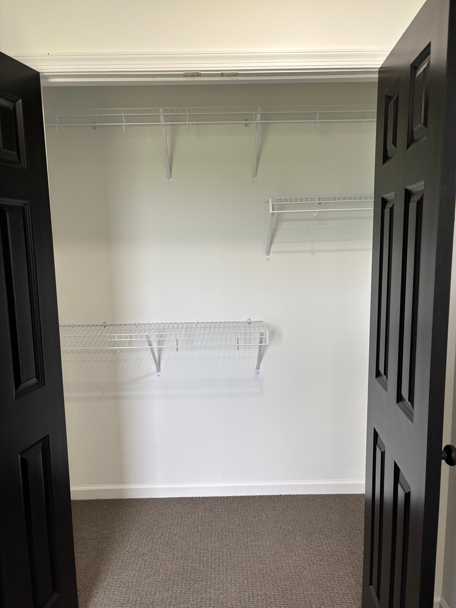 Bedroom Closet - 176 Savage Ln