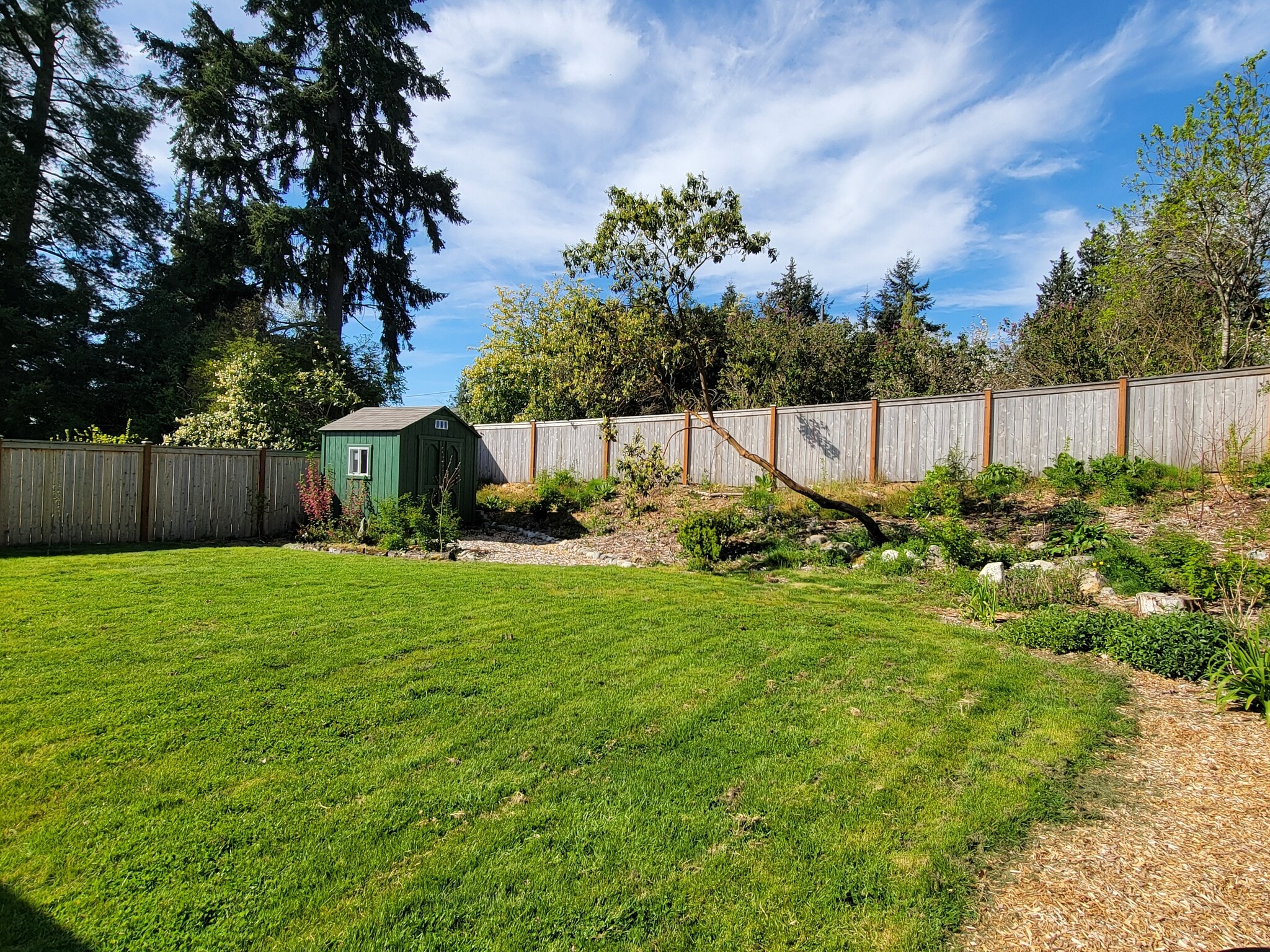 Back Yard - 324 NE 157th St