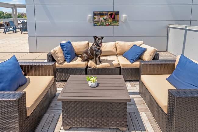 Rooftop Entertaining - One Dekalb