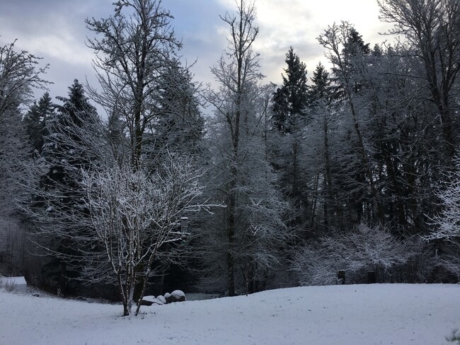 Winter view from the Living Room window - 13210 Wagon Wheel