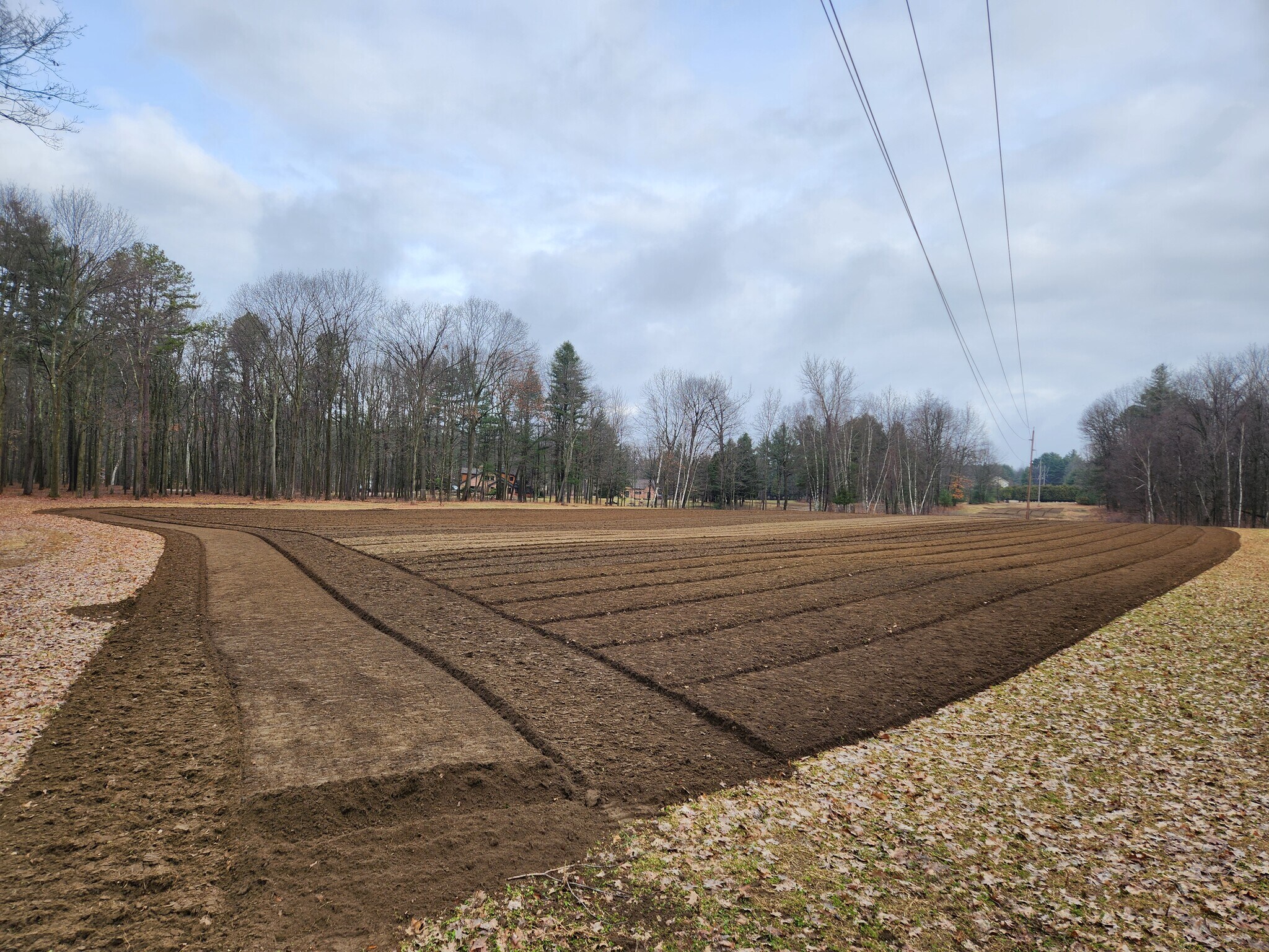 Back field - 2198 Blakely Rd