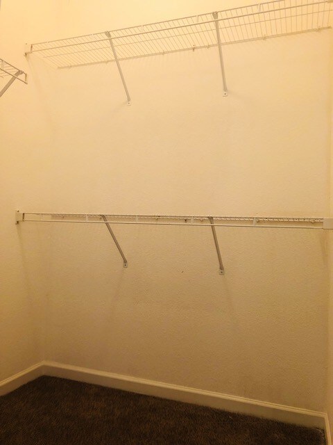 Building Photo - 4204 Sydney Cove