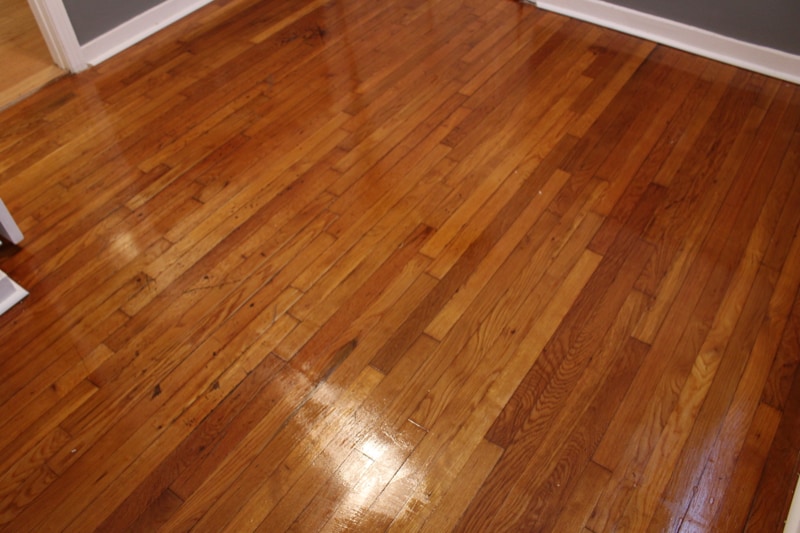 Building Photo - 204 Meadow Ln