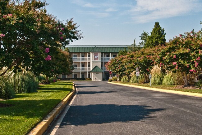 Building Photo - FURNISHED CONDO - LEWES
