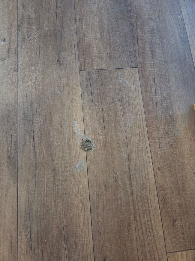 Building Photo - Country Setting, Sprawling Ranch