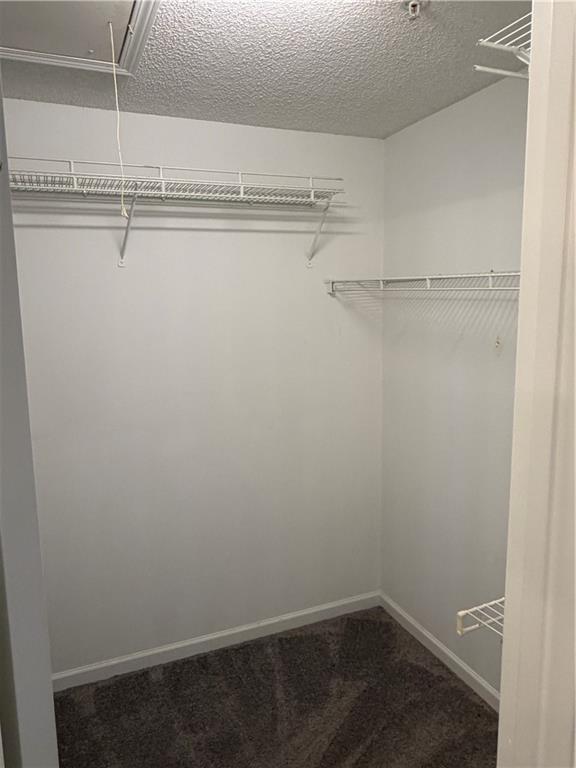 Building Photo - 2815 Ashleigh Ln