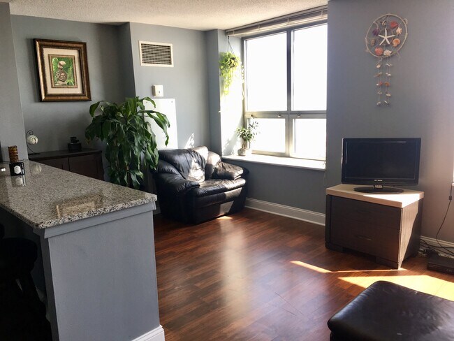 Building Photo - 474 N Lake Shore Dr