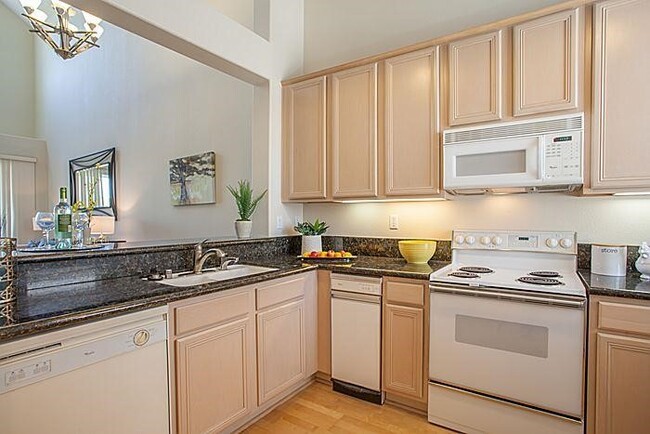 Kitchen - 903 Sunrose Terrace