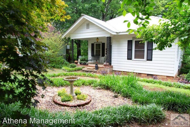 Primary Photo - 3 br, 2 bath House - 210 HILLSIDE STREET