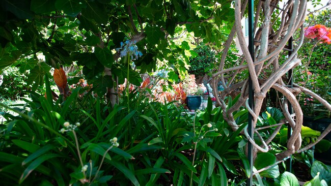 Garden Path - 848 17th St