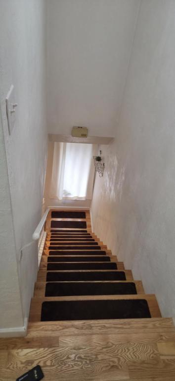 Building Photo - 1309 Maple Leaf Ct