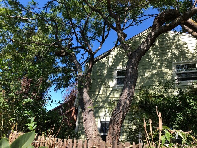 Building Photo - 1627 Francisco St