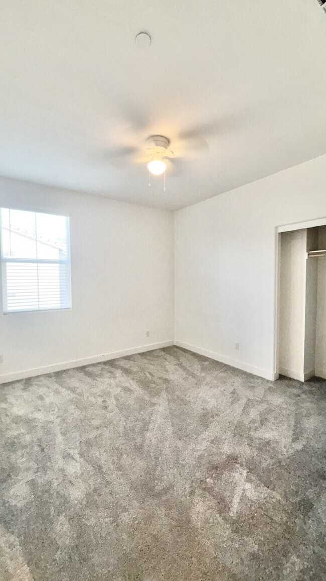 Building Photo - 4 Bedrooms Available University Park