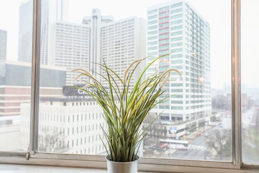 Building Photo - 215 Piedmont Ave NE