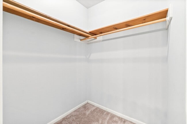 Building Photo - 29 W Torch Pine Cir