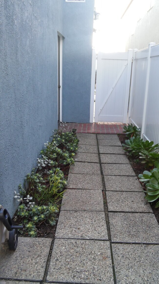 Side Yard - 1834 Rhodes St