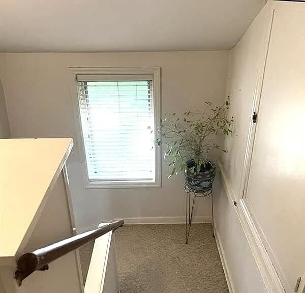 Window Overlooking the Backyard - 306 N Blackhawk Ave