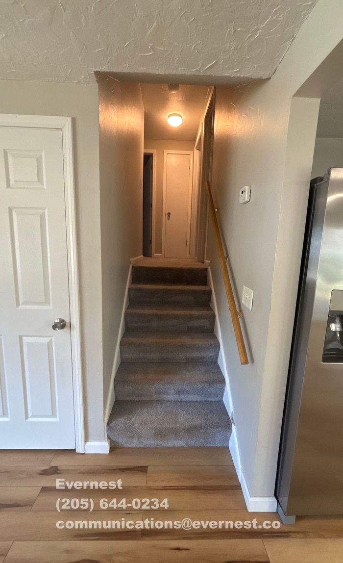 Building Photo - 3623 Bolamo Dr