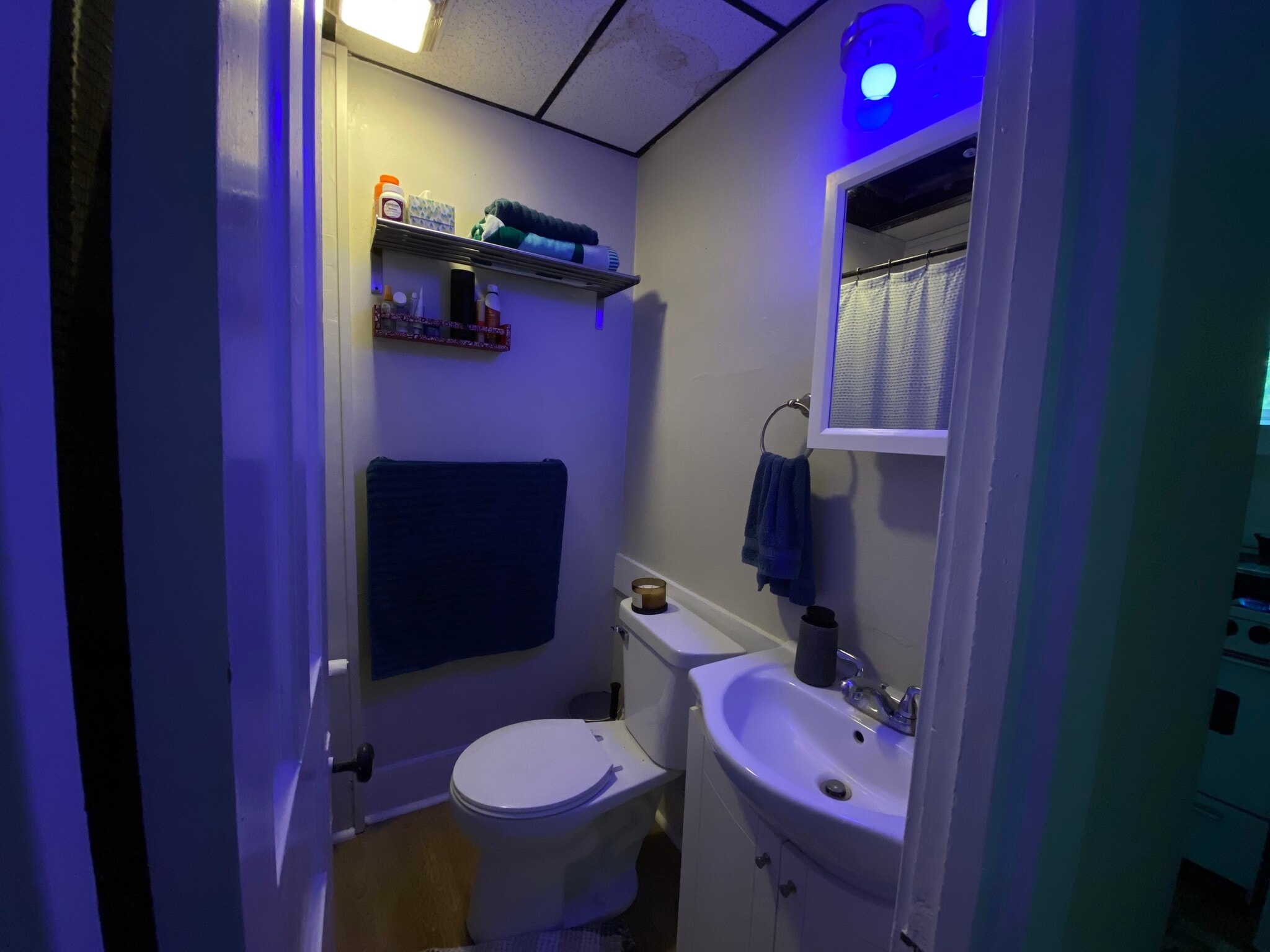 restroom (tub & shower) - 509 Oak St