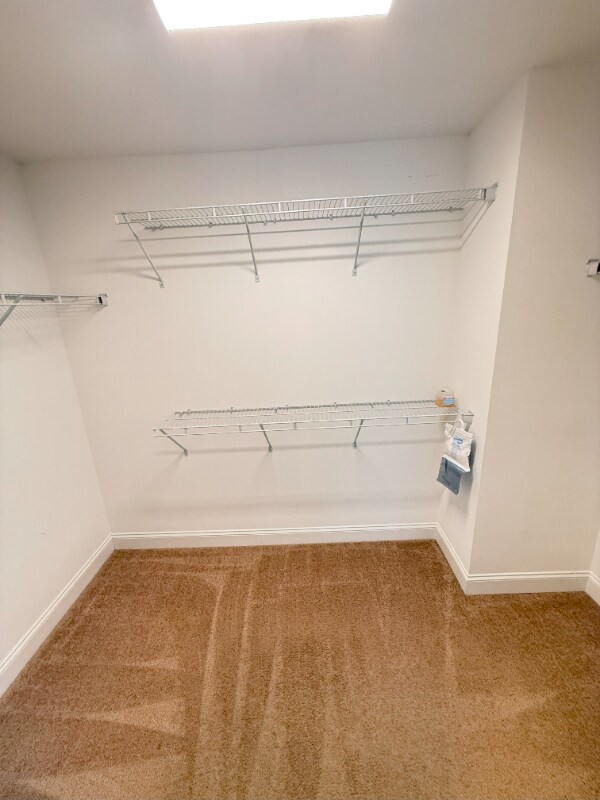 Building Photo - 155 Goldenrod Cir