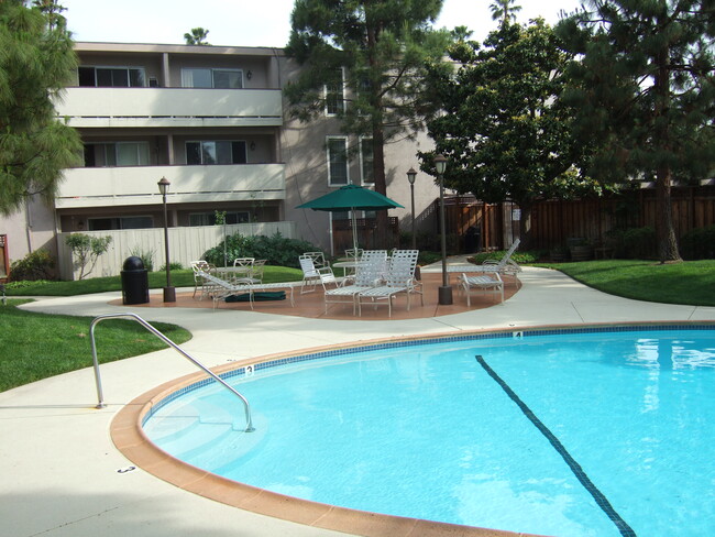 Playground & pool - 1699 Laguna St