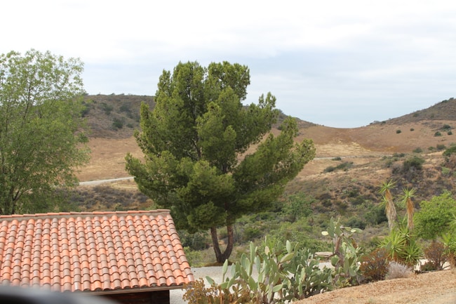 Building Photo - 33300 Ortega Hwy.