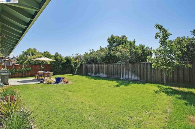 Building Photo - 4833 Primrose Ln