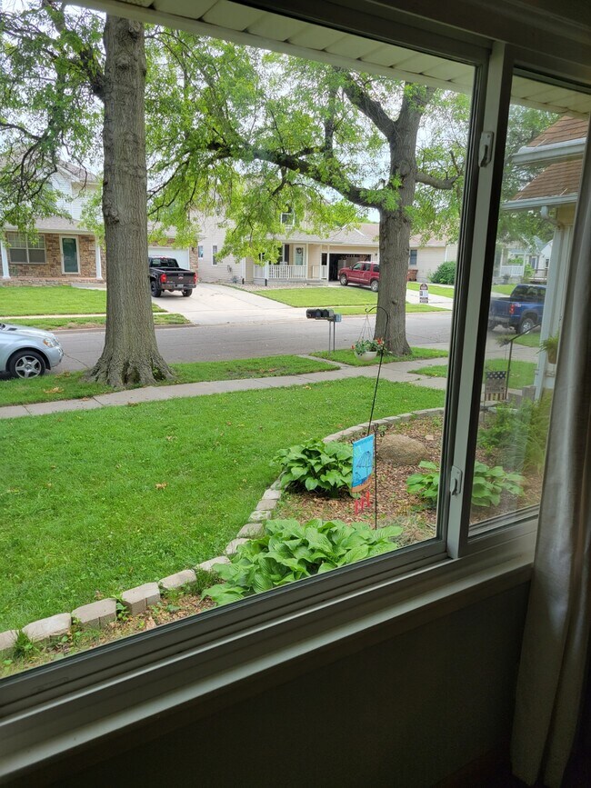 View Out the Front Window - 5050 Dudley St