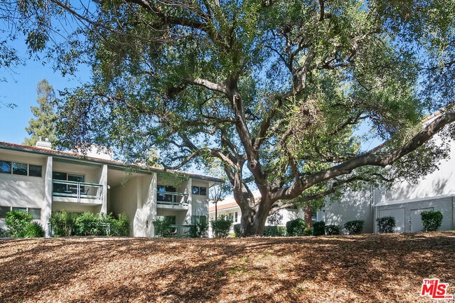 Building Photo - 23665 Park Capri