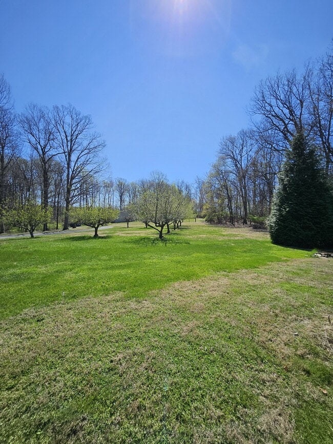 Building Photo - 4738 Grand Valley Rd