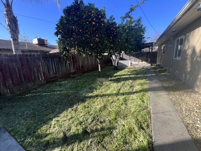 Building Photo - 206 Anderson Ave