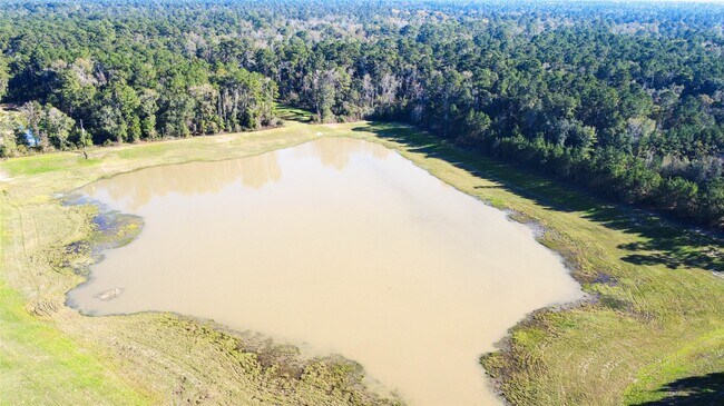 Building Photo - 211 Brazen Forest Trl