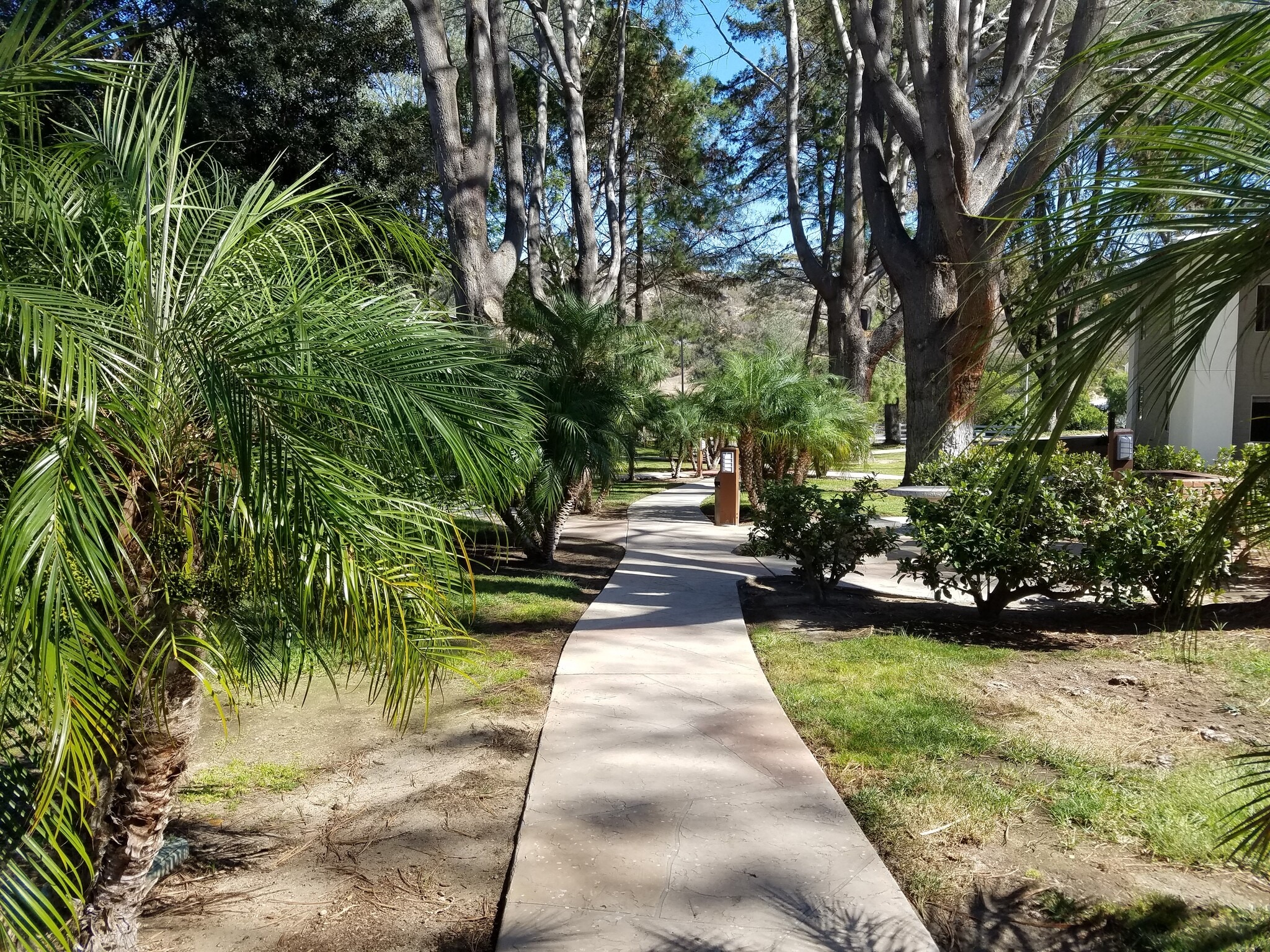 Building Photo - 1760 El Camino Real