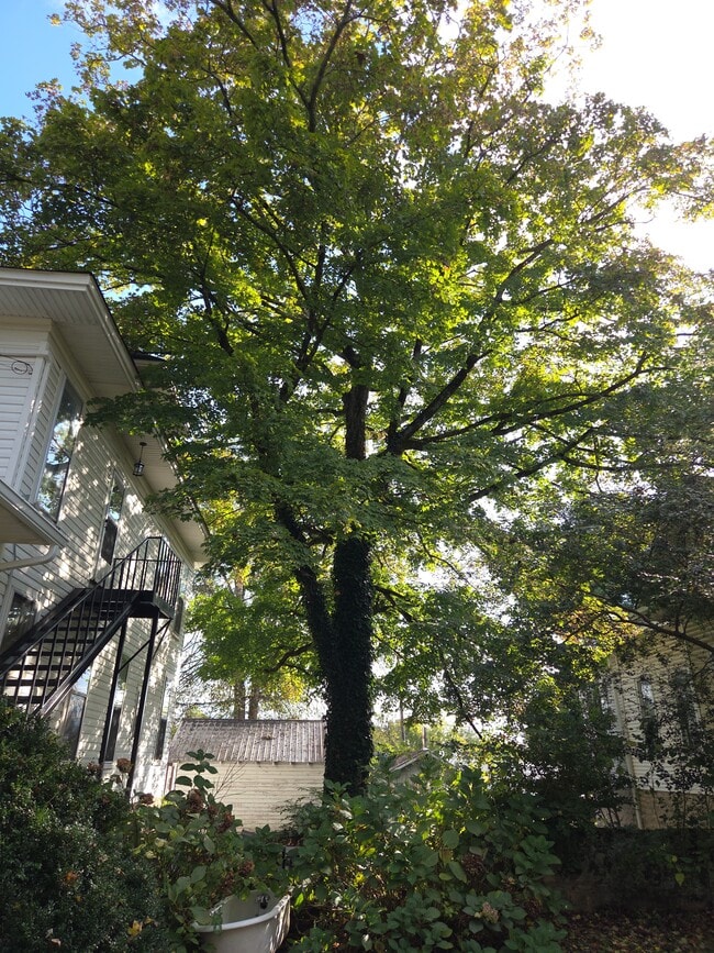 Building Photo - 403 W Flower St