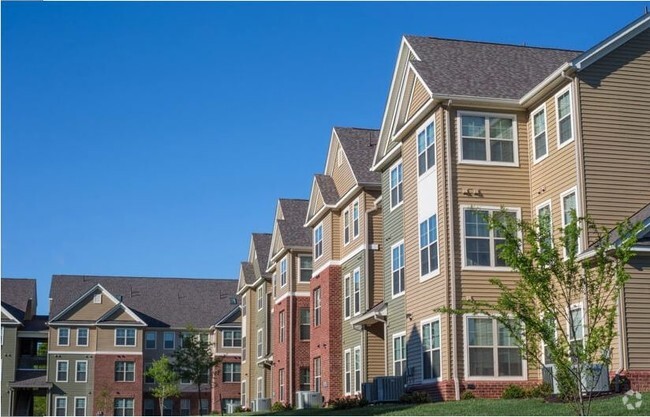 Building Photo - The Lofts at Jubal Square