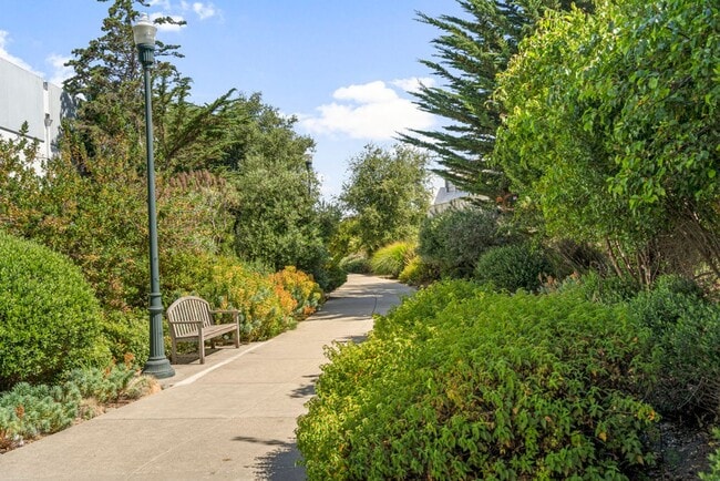 Building Photo - 1364 Powell St