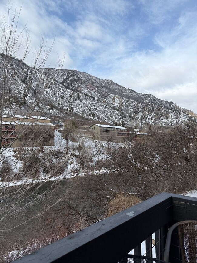 Building Photo - Furnished 2 Bedroom 1.5 Bath Condo on the Roaring Fork River