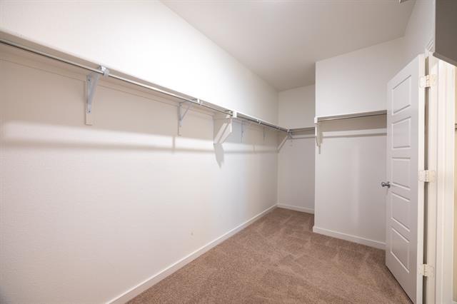 Building Photo - 1560 Kleberg Dr