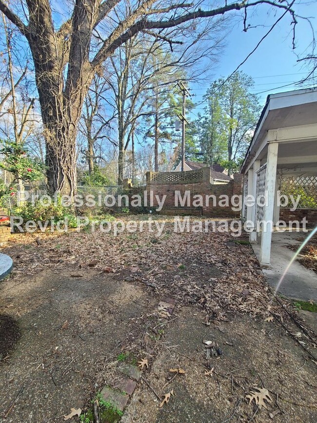 Building Photo - HUGE home in East Buntyn near U of M