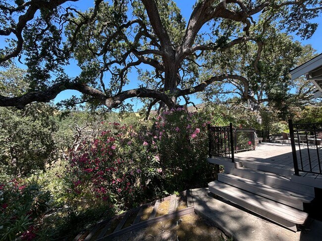 Building Photo - Must See Spacious Alamo 4BR Home with Remo...