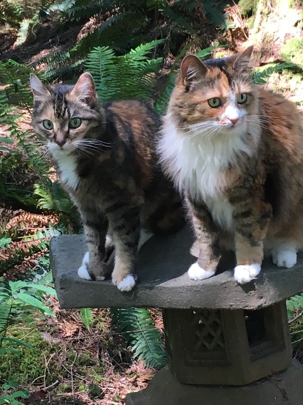 Building Photo - 51603 Skyco Dr