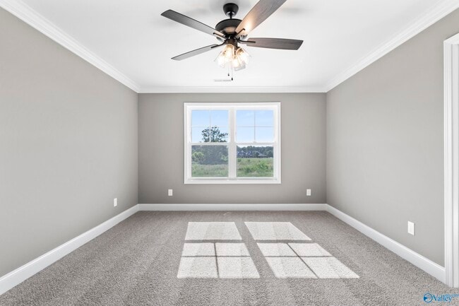 Building Photo - 245 Susan Lynn Dr