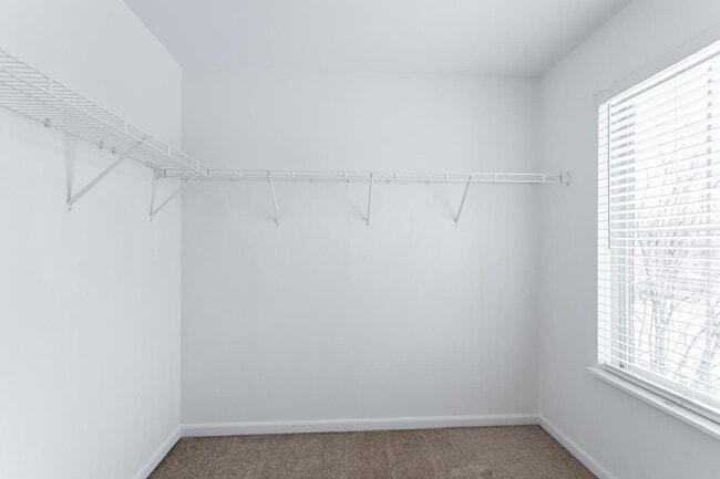 Building Photo - 708 Telluride Ct