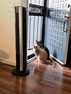 Building Photo - 3839 Vista Campana S