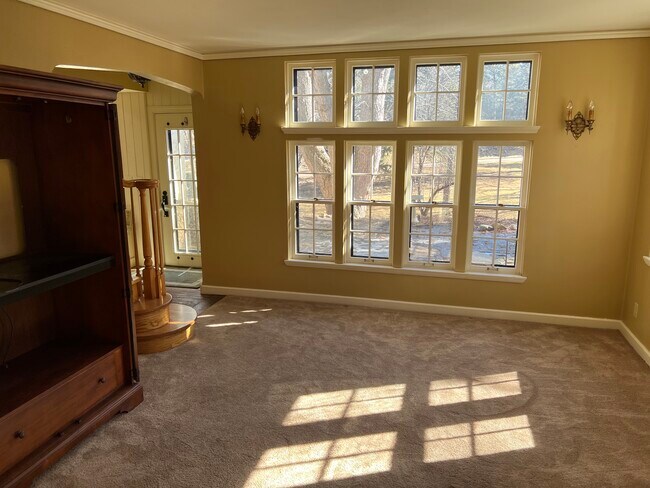 Downstairs family room - other view - 27 S Riverview Hts