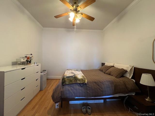 Building Photo - 99 Prospect Pl