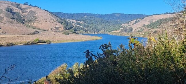 Building Photo - Sun drenched Sanctuary in the heart of the Redwoods minutes from Town